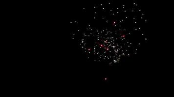 gula och röda pionfyrverkerier på mörk bakgrund för dina firande ämnen i 4k