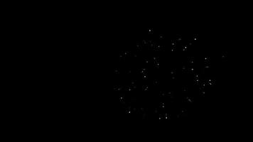 meerkleurige crossett-, ring- en dahlia-effecten in vuurwerk in 4k video