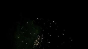 buntes Feuerwerk mit Stempel- und Pfingstroseneffekten für Unabhängigkeitsthemen in 4k video