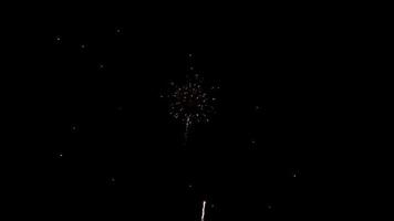 Peony, dahlia and glitter effects in fireworks in red and golden color for celebration topics in 4K video
