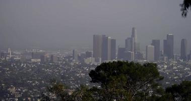 Long shot of skycrapers of Los Angeles panning to right with tree branches in foreground in 4K video