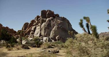 Traveling shot of several groups of rocks and dry plants in desertic scene in 4K video