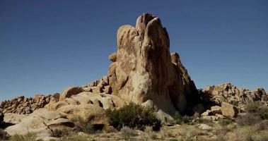 Traveling shot of several big groups of desertic rocks and plants in 4K video