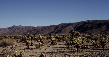 panning shot gaat naar links van woestijnachtige scène met bergen, droge planten en blauwe lucht in 4k video