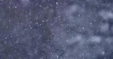 Tausende von Schneepartikeln fallen langsam mit schneebedecktem Wald im Hintergrund in 4k video