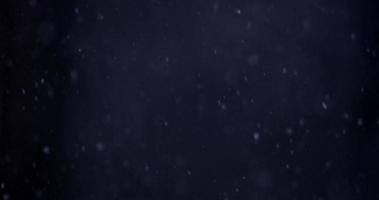 hermosa plantilla de nieve en la noche fría y oscura en el bosque en 4k video