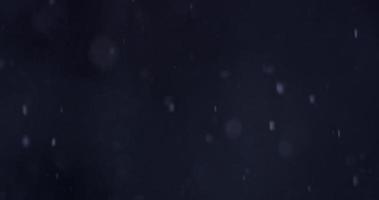 colpo notturno di pochi fiocchi di neve nella foresta fredda in 4K video