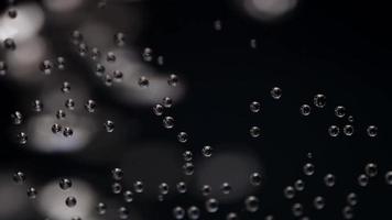 textura de bolhas focadas em primeiro plano e bolhas desfocadas em fundo escuro em 4k