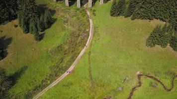 Viaduct in forest revealing shot video