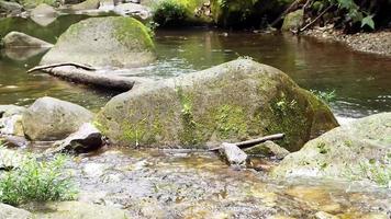 Big Rocks with Moss In The River