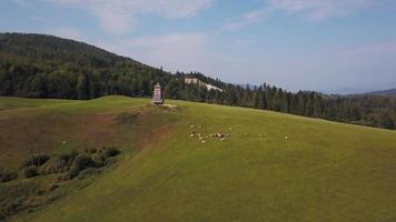 Drone flies over cows near a watchtower in 4K video