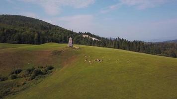 Drohne fliegt über Kühe in der Nähe eines Wachturms in 4k video