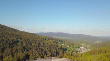 Treetop unveiling shot from up down in 4K video