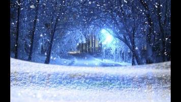 Magical Snow - Snow Christmas Video Background Loop