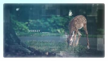 Easy Spirit Slideshow After Effects Template motion_graphic