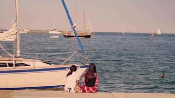 Sailing Boats And People Resting In Queens Landing Chicago video