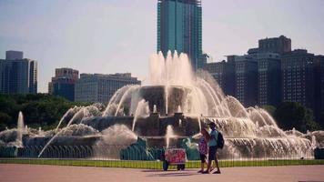 People Taking Pictures Next To The Buckingham Memorial Fountain video