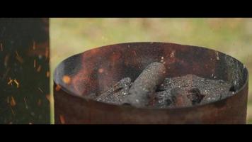 BBQ smoker with ribs inside - BBQ 029 video