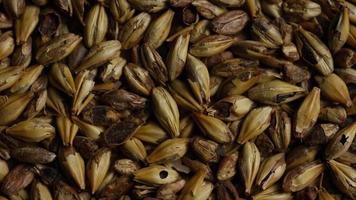 Rotating shot of barley and other beer brewing ingredients - BEER BREWING 096 video