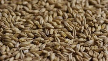 Rotating shot of barley and other beer brewing ingredients - BEER BREWING 122