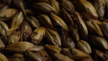 Rotating shot of barley and other beer brewing ingredients - BEER BREWING 085 video