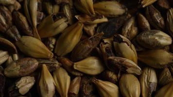 Rotating shot of barley and other beer brewing ingredients - BEER BREWING 097 video