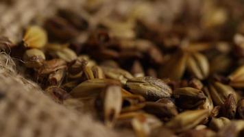 Rotating shot of barley and other beer brewing ingredients - BEER BREWING 245 video