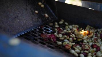 Processus humide avec des grains de café récemment mûrs à partir de caféiers arbres ee video