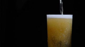 Beer is pouring into glass with foam sliding down side of beer glass video