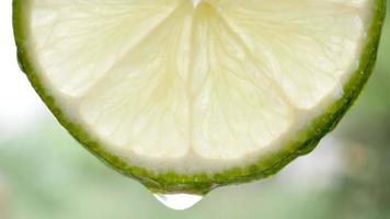 Macro of a slice of green lemon with water drop in slow motion video