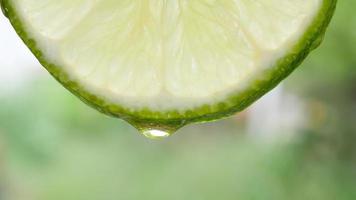 Macro of a slice of green lemon with water drop in slow motion video