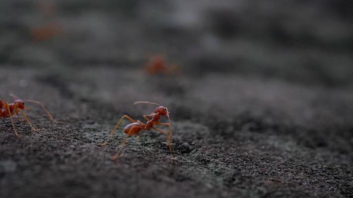 地面影片