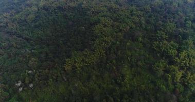 Aerial view rain forest in the mountain  video