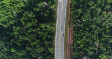 Aerial view country road in forest video