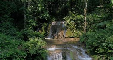 Mountain rainforest waterfalls and crystal clear water  video