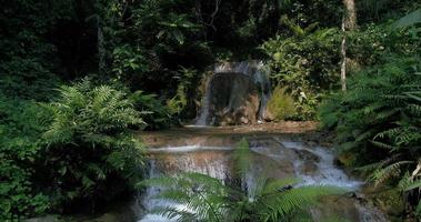cachoeiras na floresta tropical da montanha e águas cristalinas video