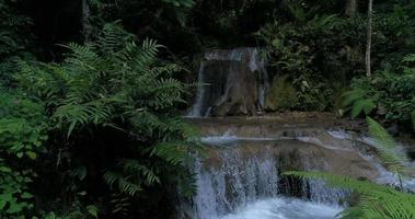 Bergregenwaldwasserfälle und kristallklares Wasser video