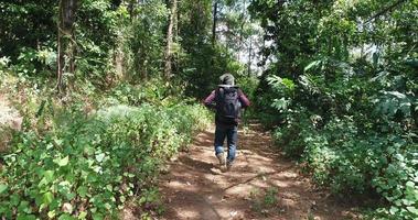 Young man hiking in tropical jungle with backpack.  video