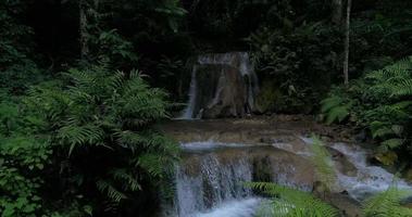 berg regnskogs vattenfall och kristallklart vatten video