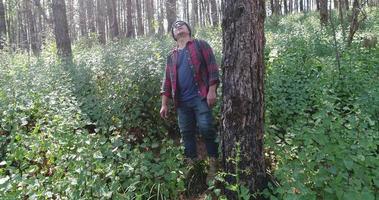 Young man hiking in tropical jungle with backpack.  video