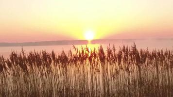 luchtfoto van helikopter vliegen tijdens prachtige zonsondergang in Duitsland video