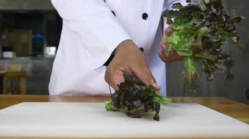 Cerca del hombre jefe haciendo ensalada de alimentos saludables y cortando lechuga en la tabla de cortar. video