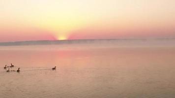 Vue aérienne d'hélicoptère volant pendant le magnifique coucher de soleil en Allemagne video