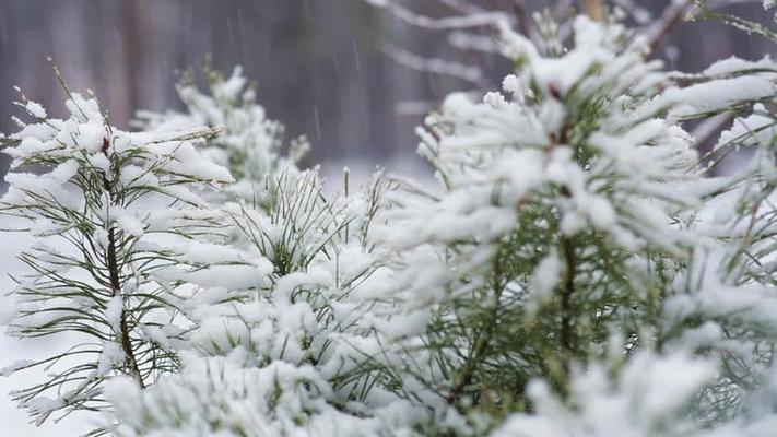 大風雪影片