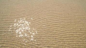 zachte golf van de zee op het zandstrand. zomer textuur achtergrond video