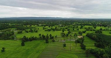 luchtfoto landbouwgebied van thailand. video