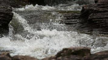 prachtige waterval in het regenwoud. video