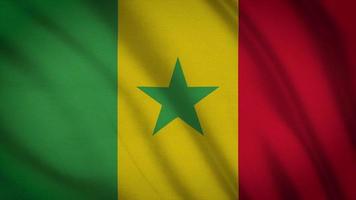Senegal Flag video