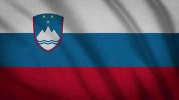 Slovenia Flag video