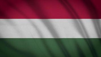 ungarische Flagge video